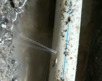 城口卫生间测漏水多少钱
