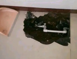 城口卫生间测漏水多少钱